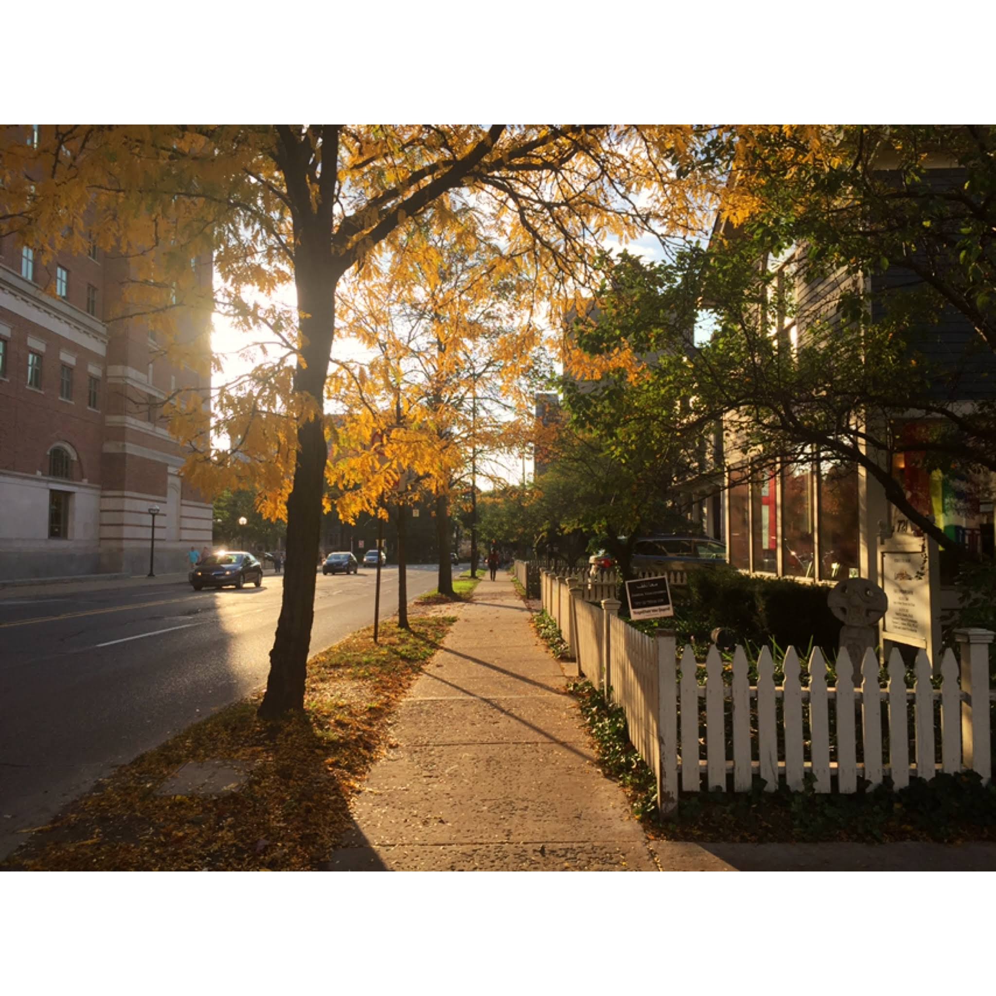 golden sidewalk at sunset